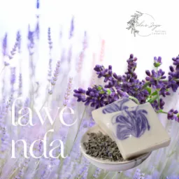 Dwa kawałki lawendowego mydła naturalnego na ceramicznej podstawce z suszoną lawendą, na tle pola lawendy i logo firmy Ola's Joys Natural Cosmetics w prawym górnym rogu.