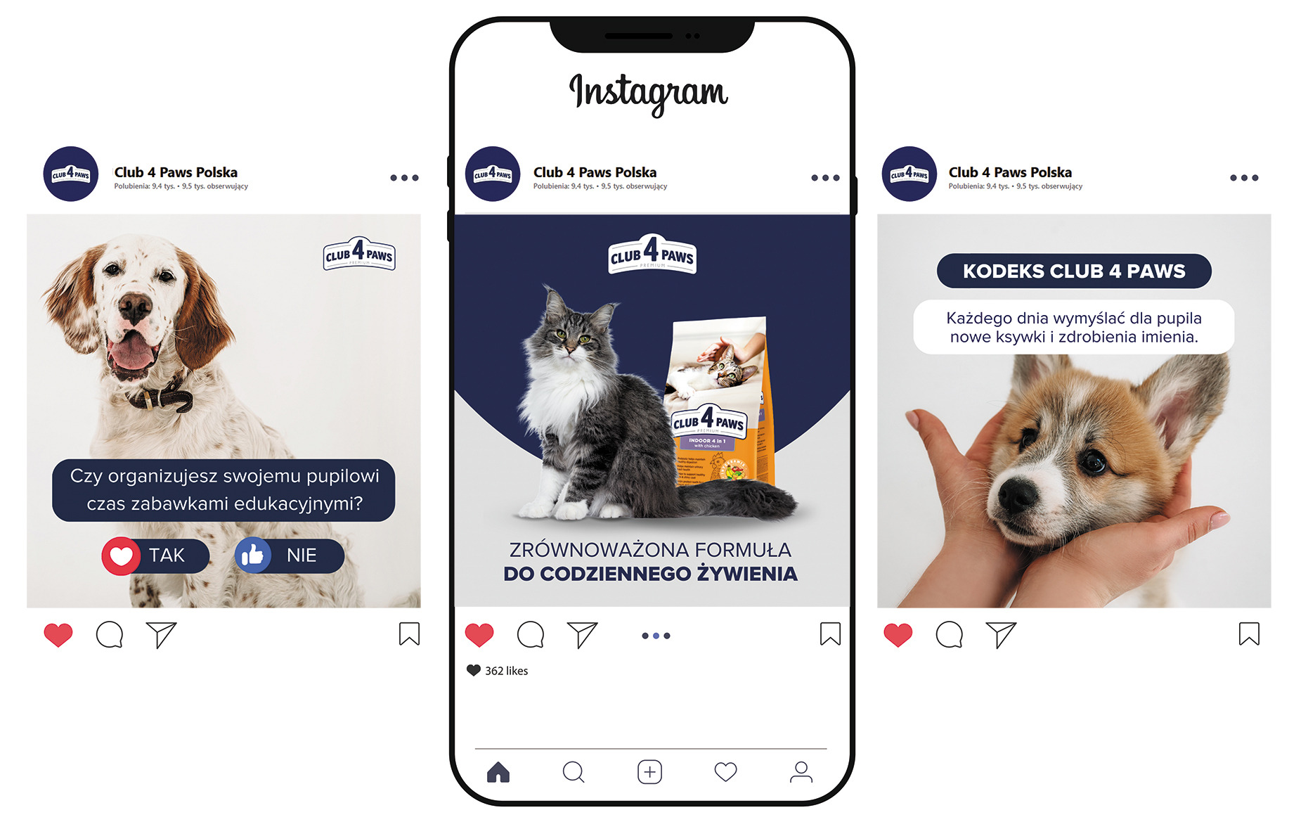 Reklama w Instagramie prezentująca karmę dla zwierząt Club 4 Paws: pies z pytaniem o zabawki edukacyjne, kot z karmą i hasłem o zrównoważonej formule, oraz szczeniak z kodeksem wymyślania ksywek.