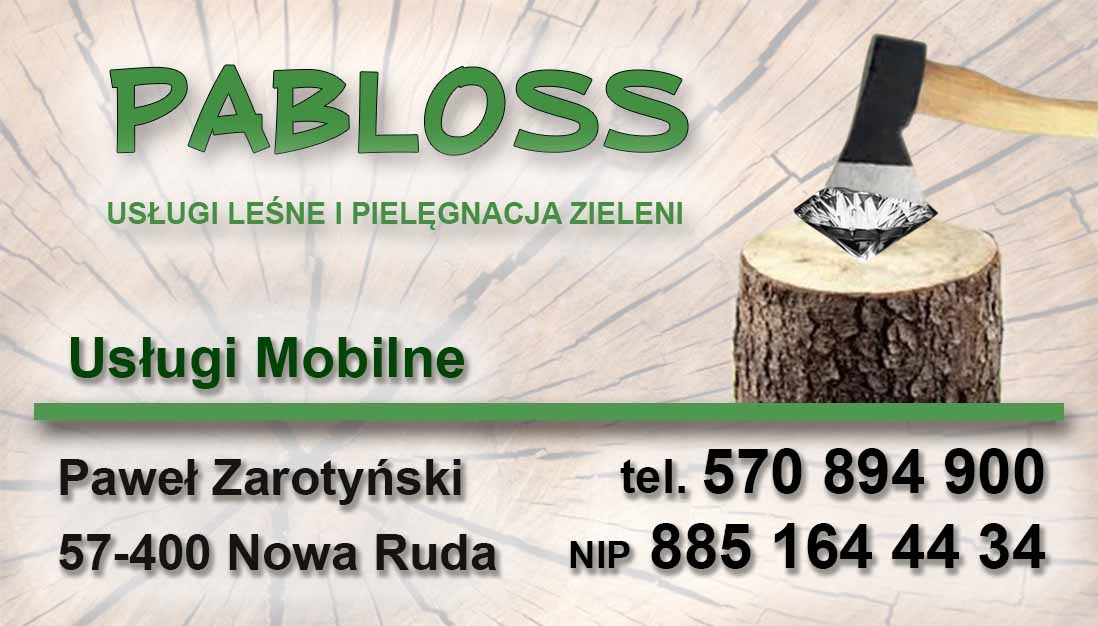 Wizytówka firmy PABLOSS oferującej usługi leśne i pielęgnację zieleni, z grafiką siekiery wbitej w pień drzewa, na którym leży diament.