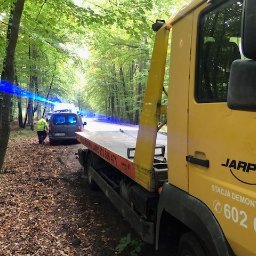 Transport busem Gdynia 1