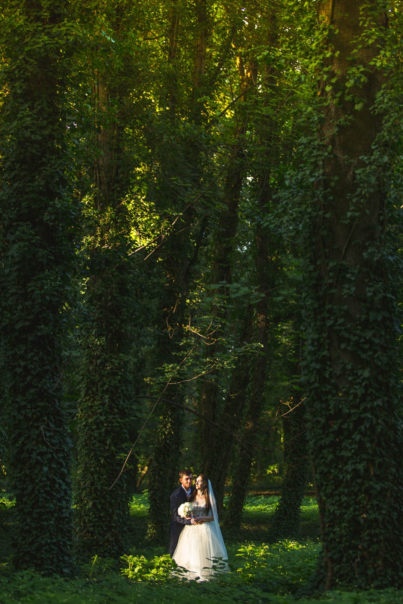 Para młoda w objęciach, otoczona drzewami porośniętymi bluszczem w lesie, panna młoda trzyma bukiet białych kwiatów, delikatne światło słoneczne przebija się przez korony drzew.