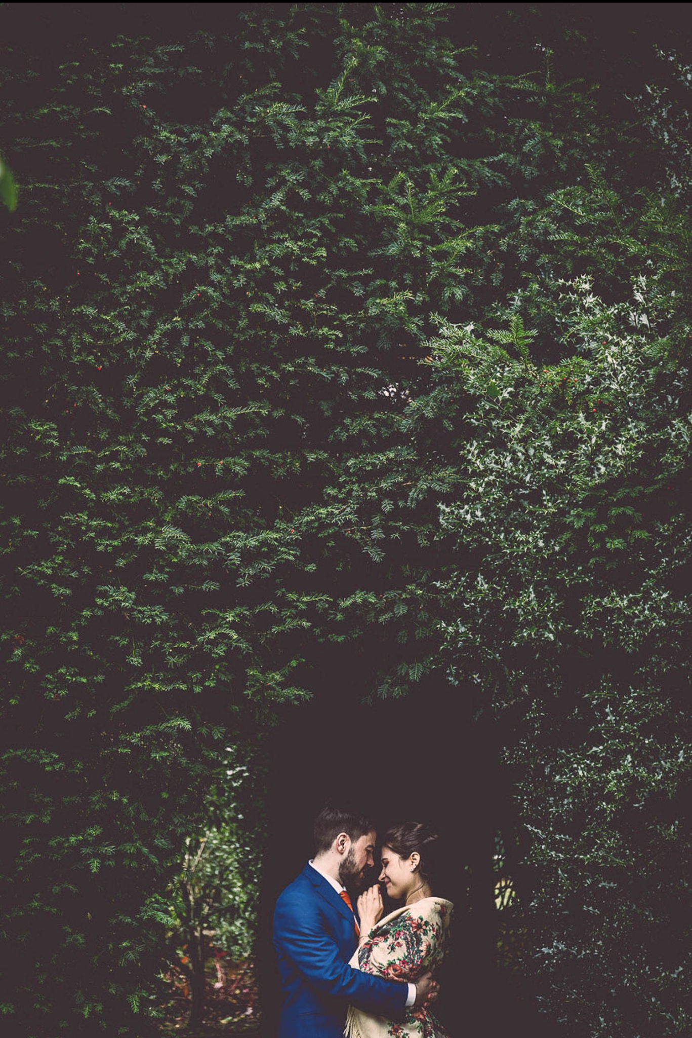 Para młoda w objęciach na tle ciemnozielonej ściany z iglaków, on w niebieskim garniturze z pomarańczowym krawatem, ona w kwiecistej sukience z kremowym szalem.