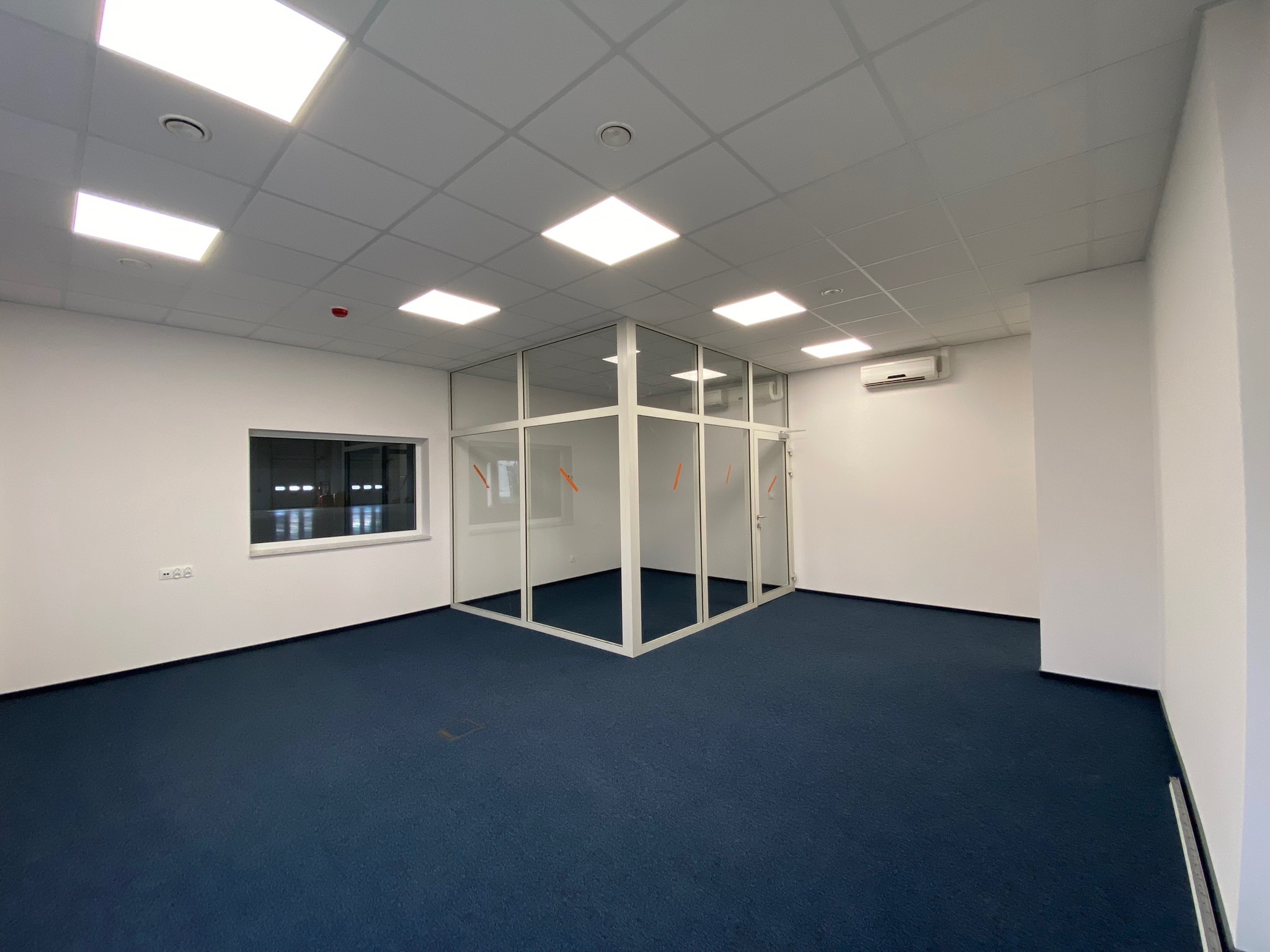 Puste biuro po remoncie z niebieską wykładziną, przeszkloną ścianką działową i białymi ścianami, oświetlone kwadratowymi panelami LED w suficie.