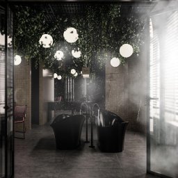 Jagartmeister - Nowoczesna łazienka z dwiema czarnymi wannami wolnostojącymi, oświetlona wiszącymi kulami i roślinnością zwisającą z sufitu, widok przez przeszklone drzwi z rozproszonym światłem.