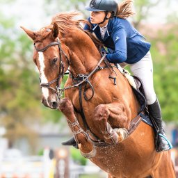 Żaneta Tarnowska Artistry - Jeździec w niebieskiej kurtce i kasku na kasztanowym koniu skacze przez przeszkodę, w powietrzu widać drobinki kurzu.