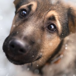 Fotograf na chrzest Lublin 1