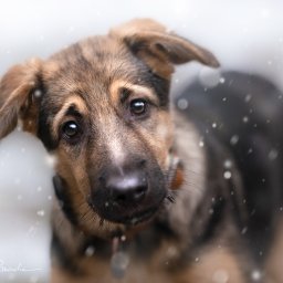 Fotograf na chrzest Lublin 2