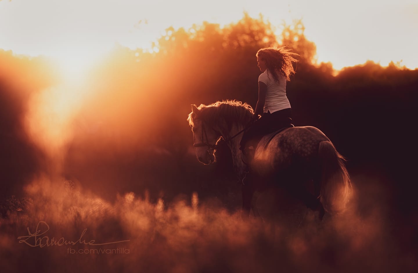Kobieta z kręconymi włosami jedzie konno pod słońce, sylwetka konia i jeźdźca na tle złotego światła, dolna część kadru lekko zamglona.