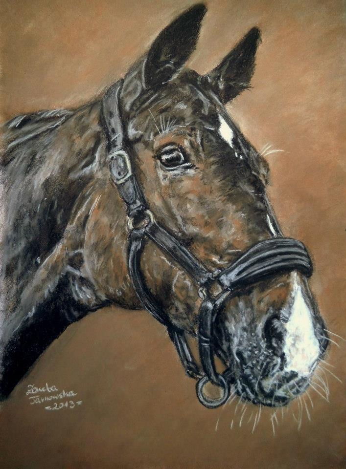 Pastelowy portret końskiej głowy z czarną uprzężą na brązowym tle, sygnowany przez artystę 'Żaneta Tarnowska - 2013'.