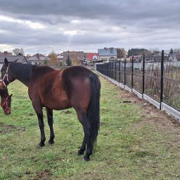 OGRO-TECH.COM - Nowoczesne ogrodzenie panelowe w kolorze czarnym, z betonową podmurówką, otaczające pastwisko z dwoma końmi. Widok na domy w tle, pochmurne niebo.