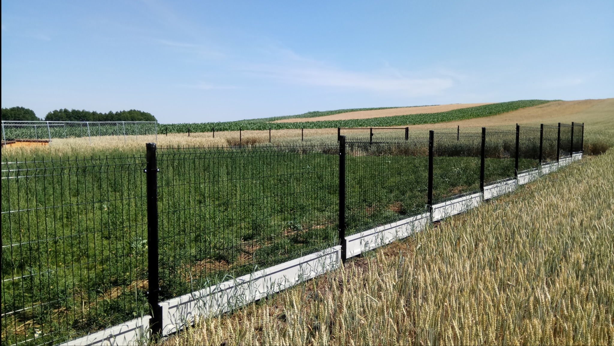 Ciemna siatka panelowa na betonowej podmurówce oddzielająca pole uprawne od trawy, w tle pola z różnymi uprawami i błękitne niebo.