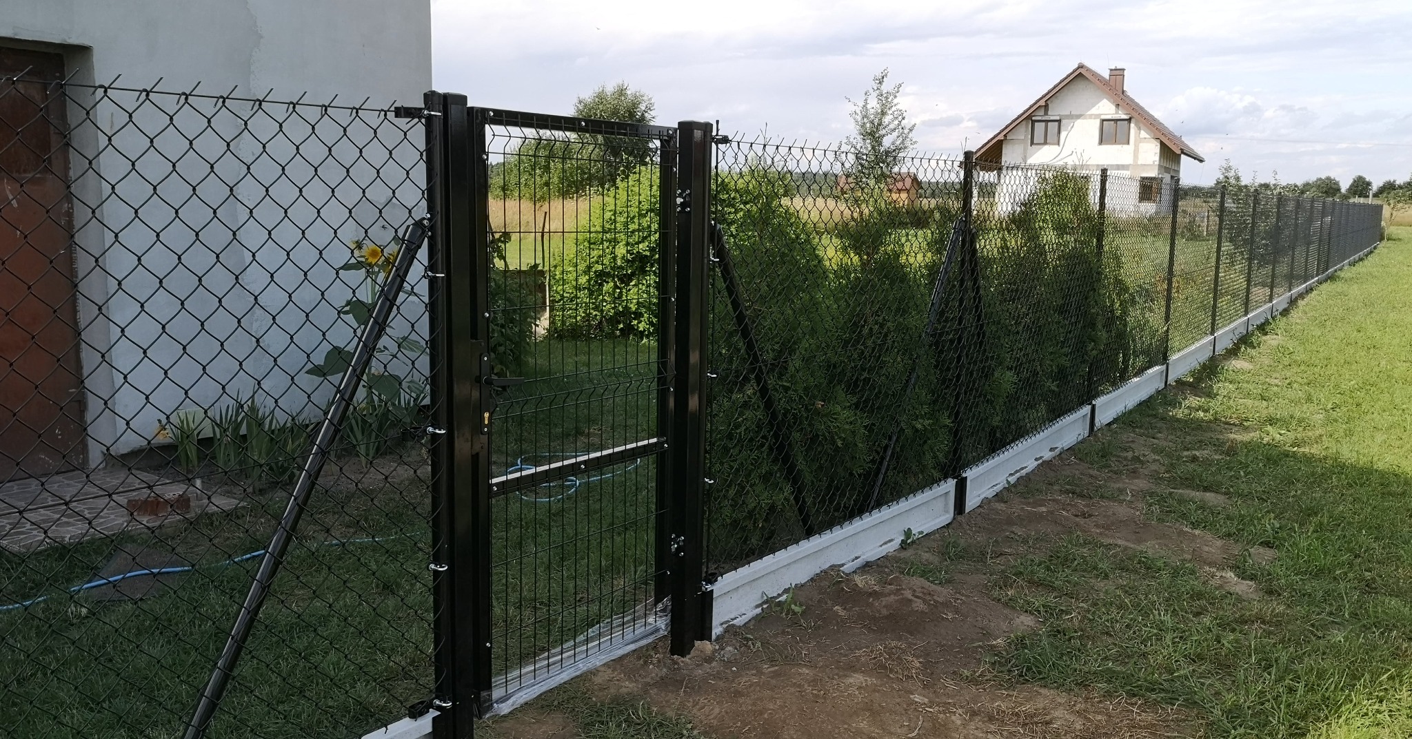 Długa linia czarnej siatki ogrodzeniowej z bramką, podmurówka betonowa, w tle dom jednorodzinny i tuje.
