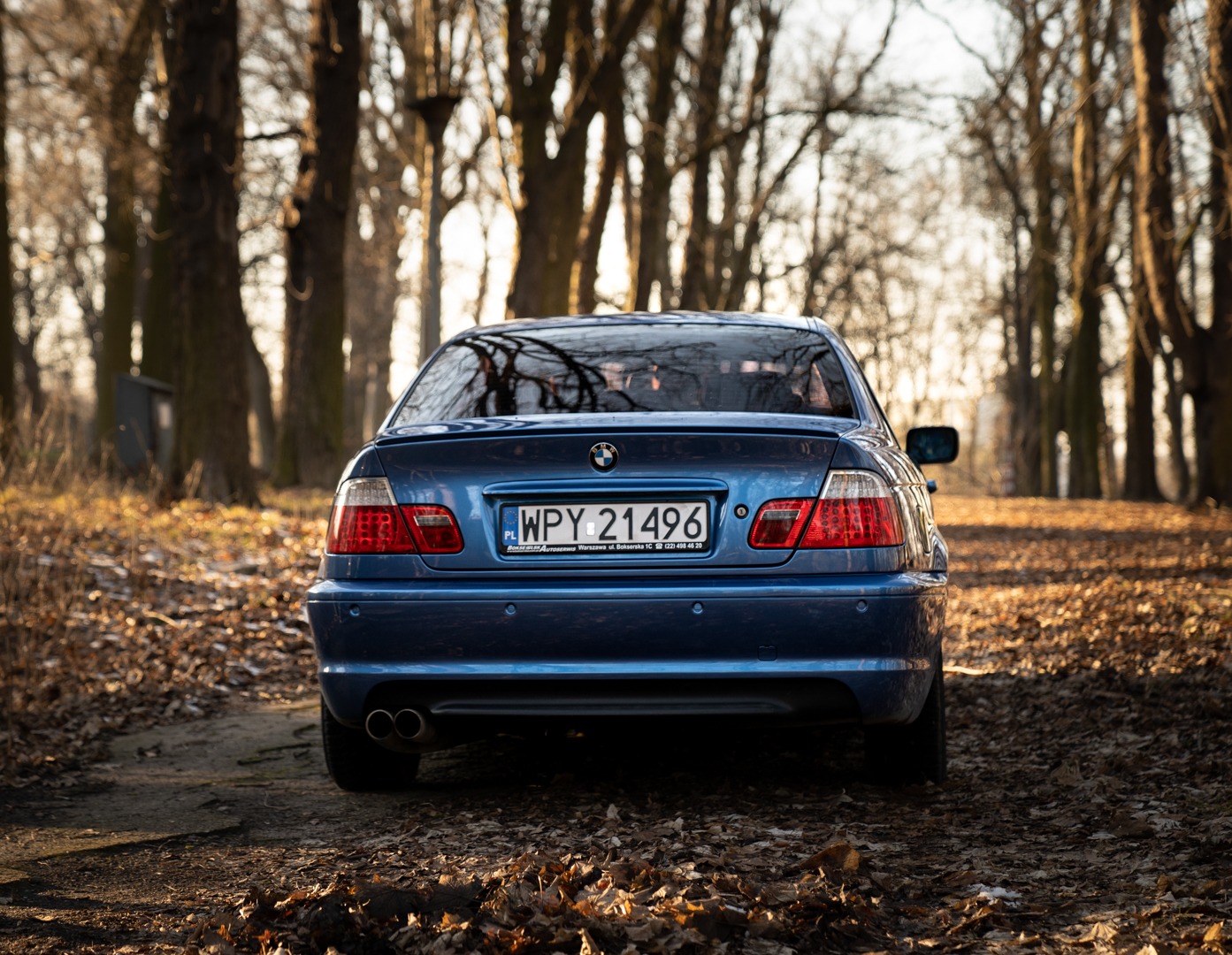Niebieski samochód marki BMW, widok z tyłu, zaparkowany na leśnej drodze pokrytej opadłymi liśćmi, w tle drzewa bez liści w zimowym słońcu.