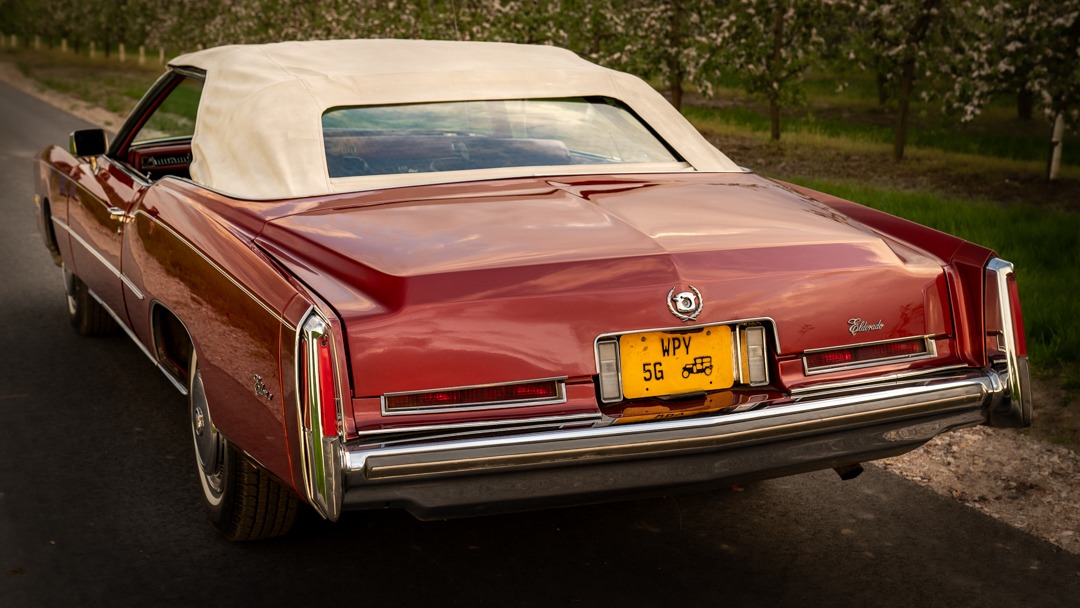 Czerwony kabriolet Cadillac Eldorado z beżowym dachem, widok z tyłu, żółta tablica rejestracyjna z symbolem przyczepy, na tle kwitnących drzew owocowych.