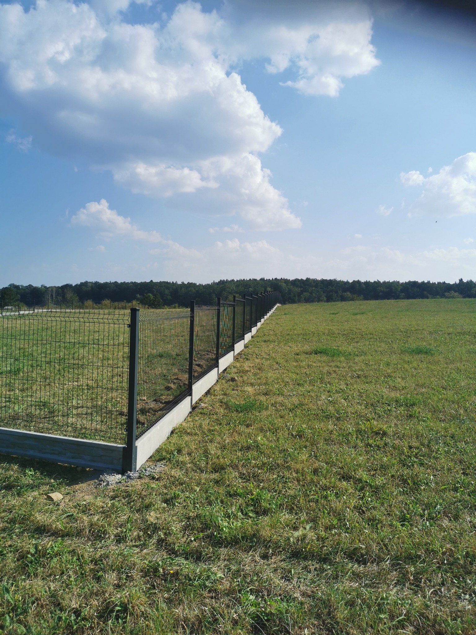 Długi, czarny system ogrodzeniowy z paneli na betonowej podmurówce, rozciągający się przez rozległe, zielone pole w kierunku lasu pod błękitnym niebem z białymi chmurami.