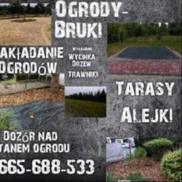 GARDEN SERVICE MATEUSZ WOJTON