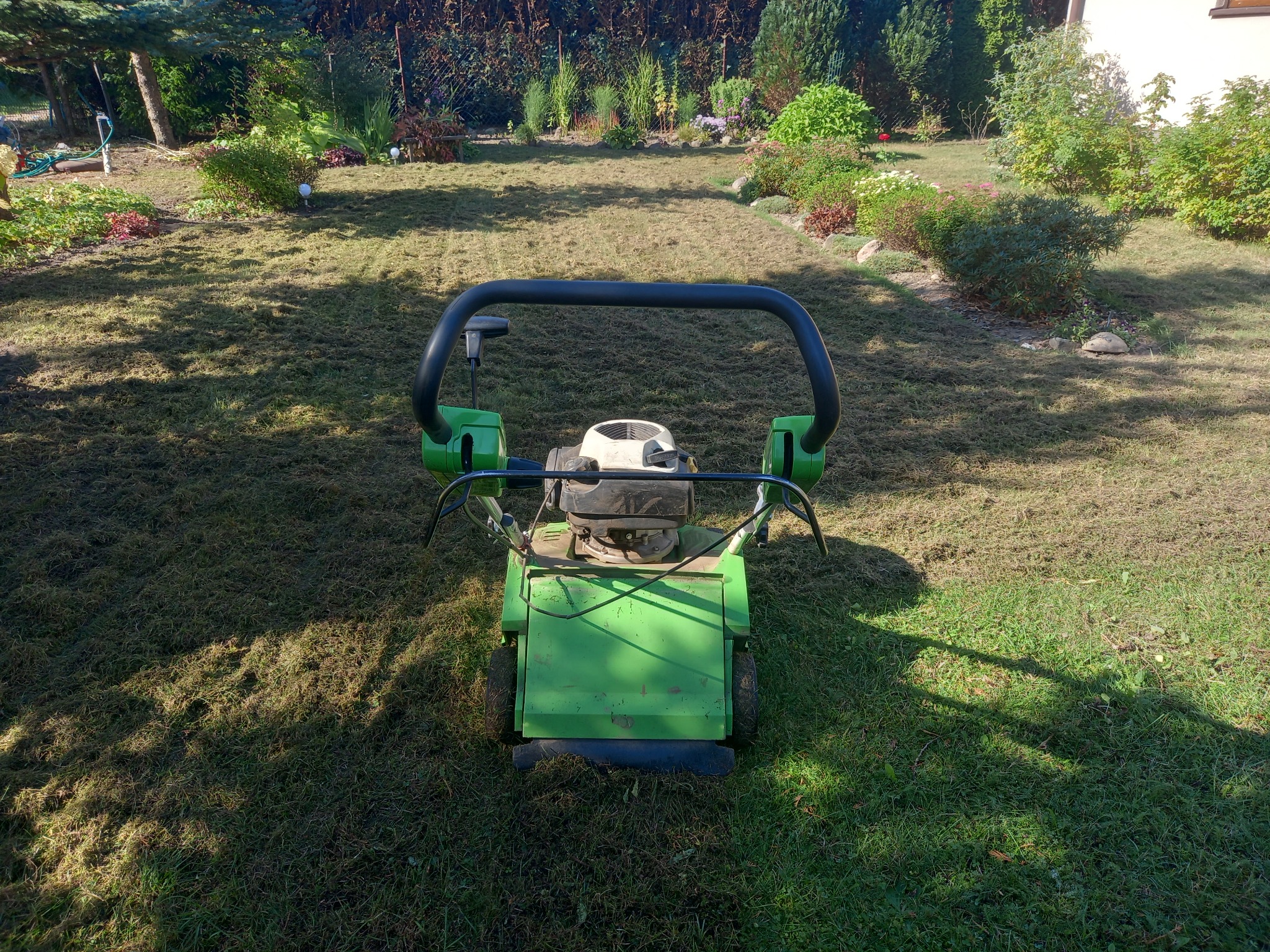 Zielona wertykulator na trawniku po wertykulacji, widoczne resztki trawy i mech, w tle ogród z krzewami i drzewami.
