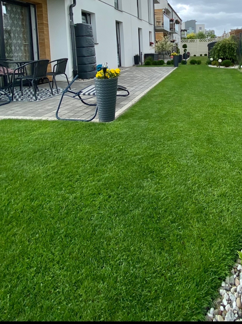 Starannie utrzymany trawnik przed nowoczesnym domem z szarą donicą z żółtymi kwiatami, widoczne meble ogrodowe i dekoracyjne kuliste krzewy.