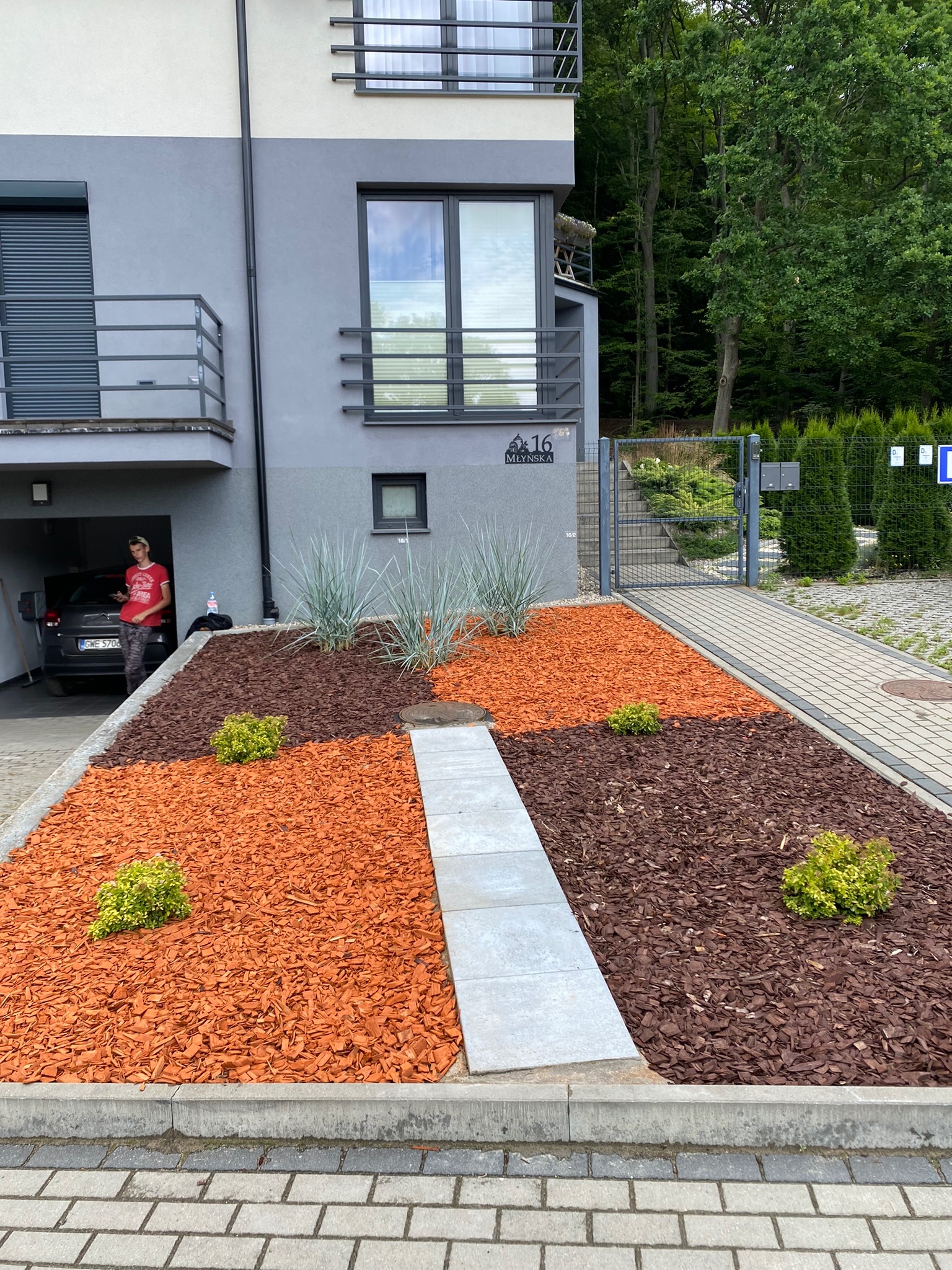 Nowoczesny ogród przed domem z dwukolorową korą, ścieżką z płyt betonowych, ozdobnymi trawami i kulistymi krzewami.