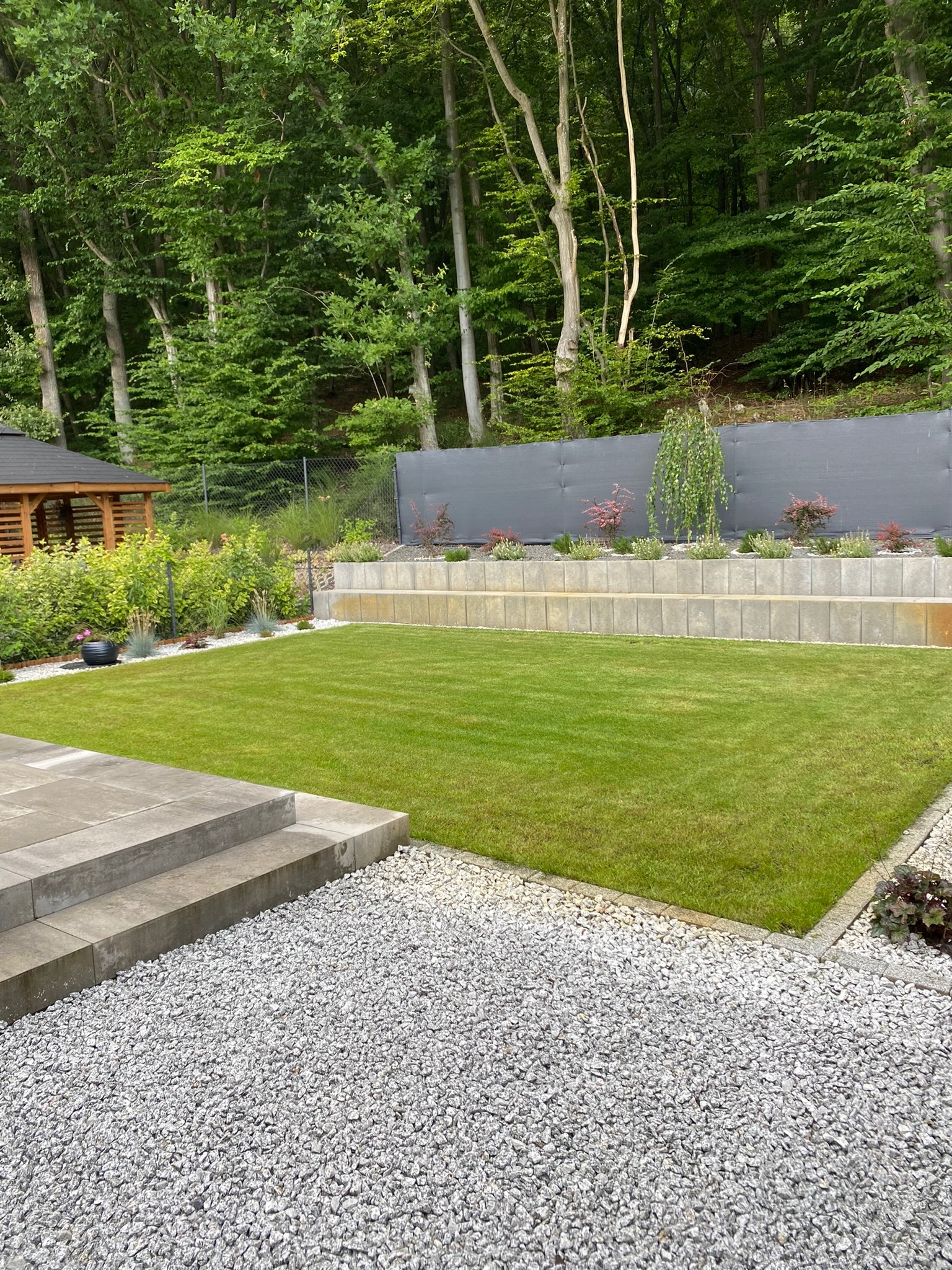 Starannie utrzymany trawnik z równo przystrzyżoną trawą, obrzeża z jasnego żwiru, schody z szarych płyt prowadzące do trawnika, w tle drewniana altana i roślinność na kilku poziomach.