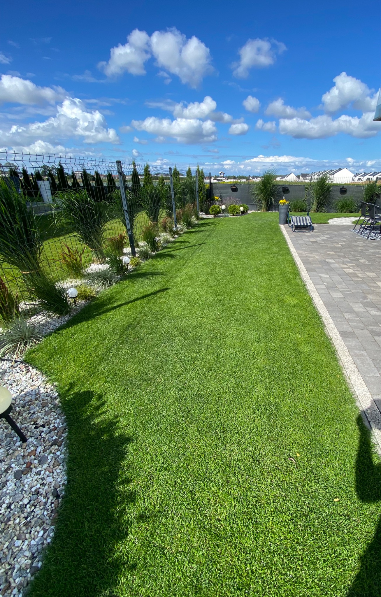 Perfekcyjnie przystrzyżony trawnik w słoneczny dzień, obok ścieżka z kostki brukowej i rząd ozdobnych traw wzdłuż metalowego ogrodzenia.