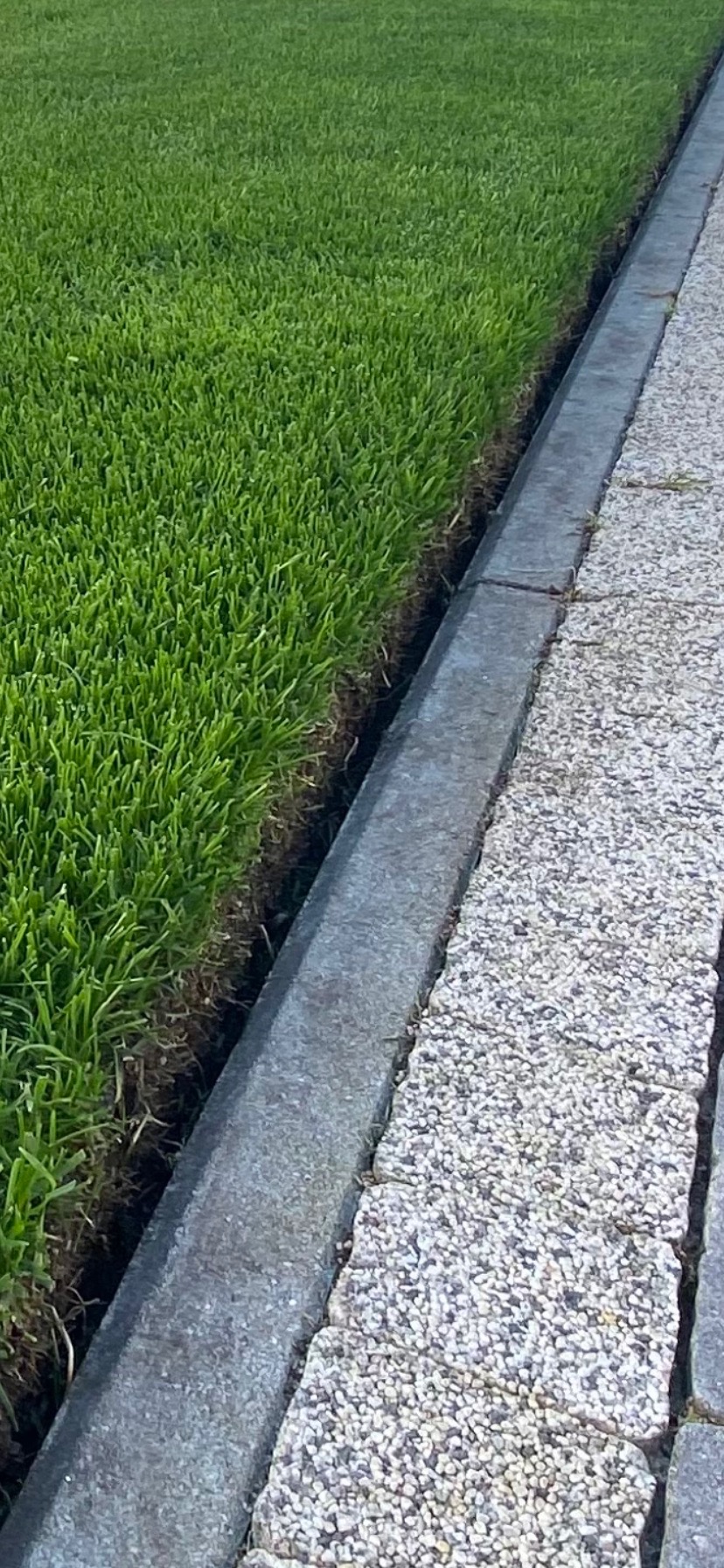 Krótko przystrzyżona, soczysta trawa sąsiadująca z granitowym obrzeżem i kamienną ścieżką.