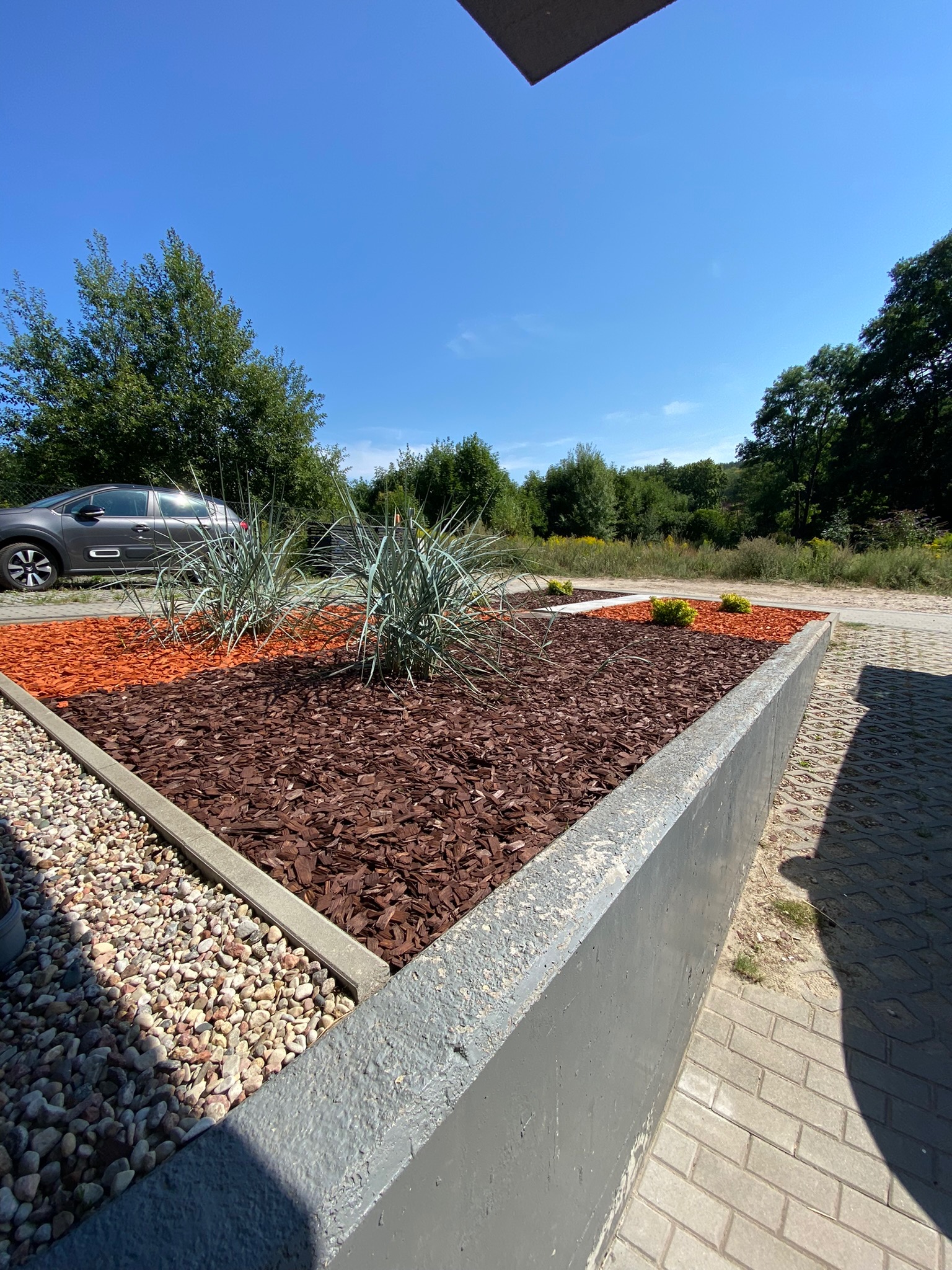 Kwadratowa rabata z brązową korą i ozdobnymi trawami, obramowana betonową konstrukcją, z widocznym szarym samochodem w tle.