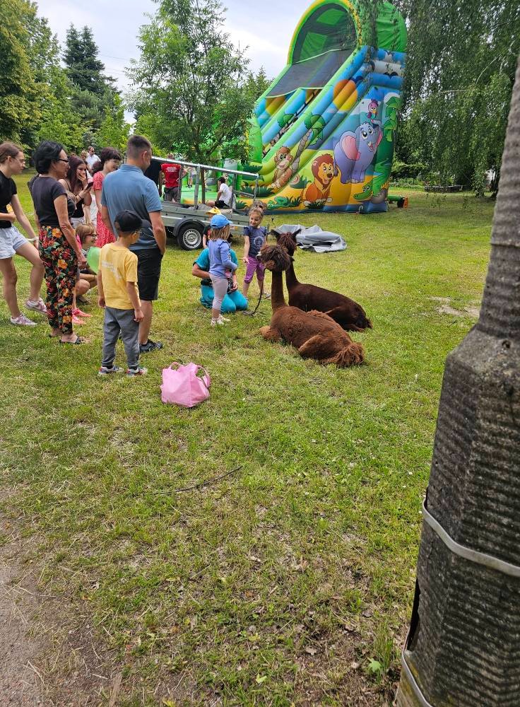 Impreza plenerowa z dmuchaną zjeżdżalnią, dziećmi i alpakami na trawie. W tle grupa osób, drzewa i przyczepka. Dzień.