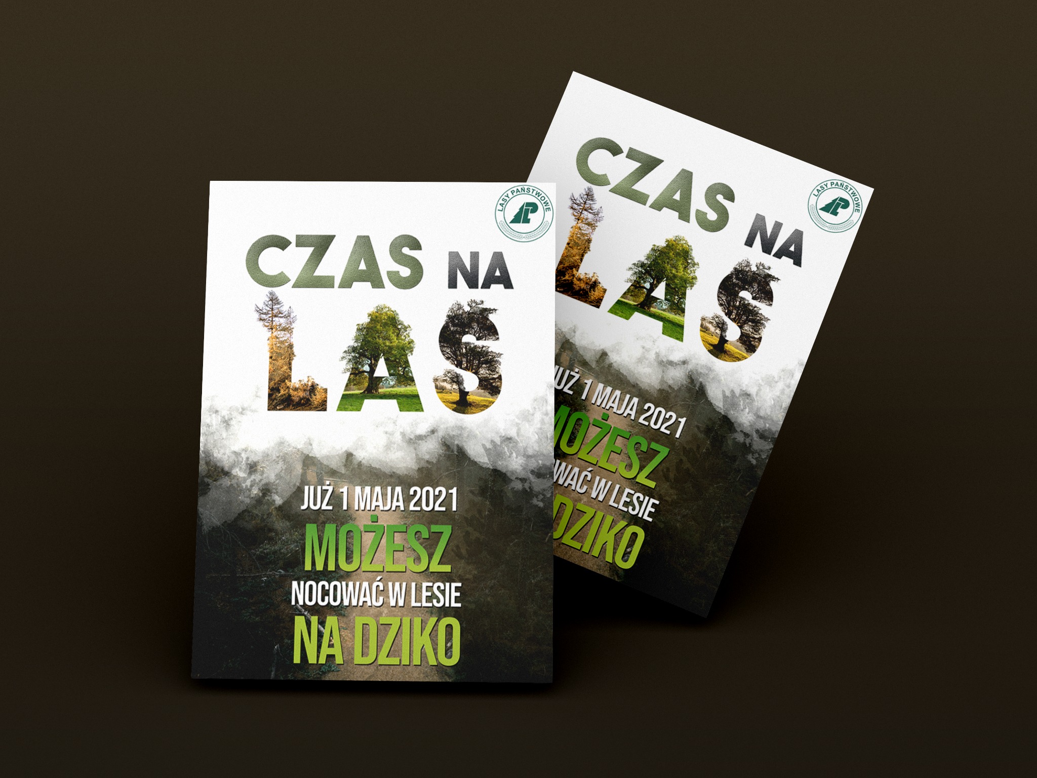 Dwa plakaty reklamowe z hasłem 'CZAS NA LAS', grafika wykorzystuje motywy leśne, logo Lasów Państwowych w górnym rogu.