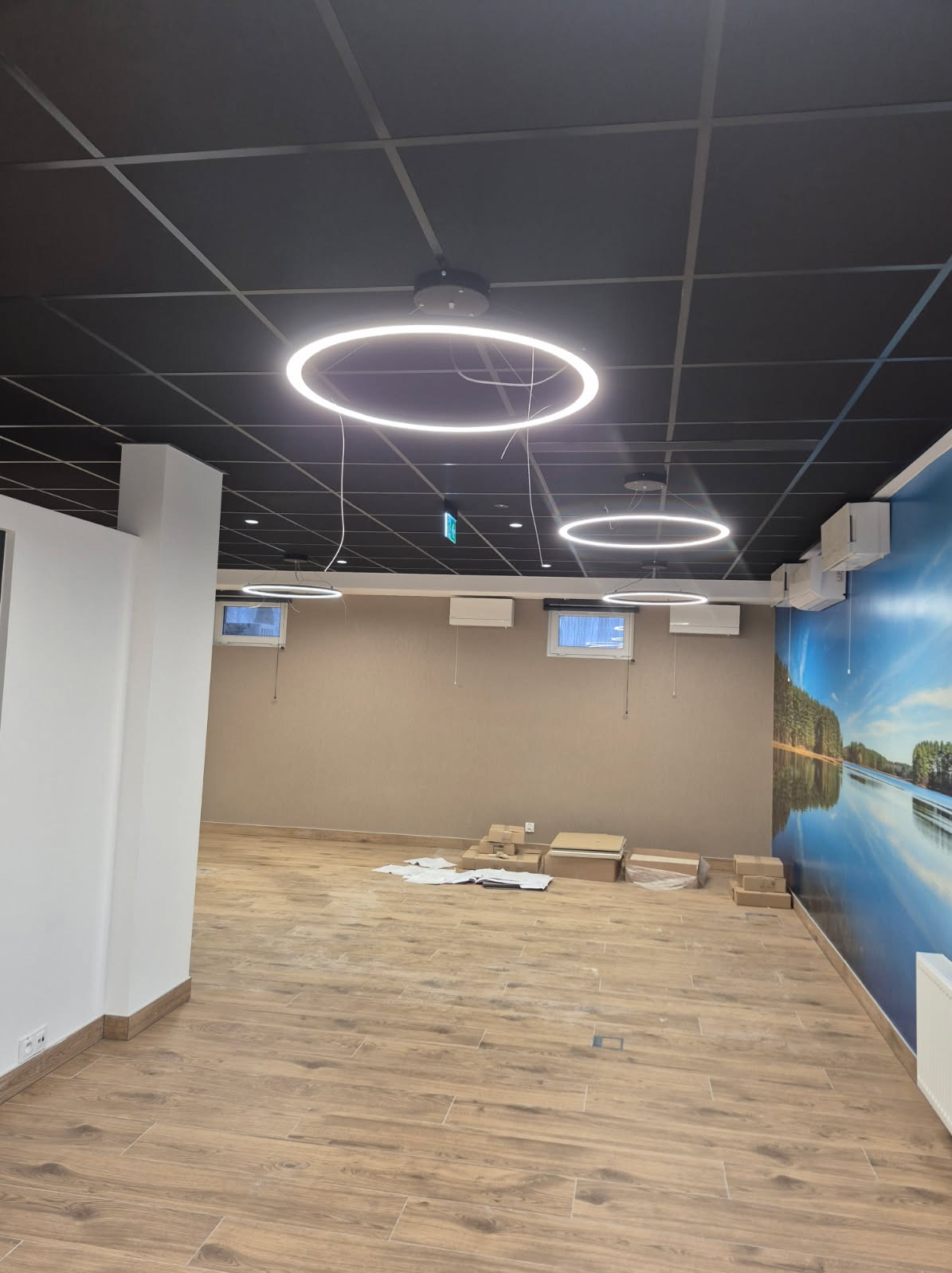 Nowoczesne, okrągłe lampy LED zamontowane na czarnym suficie podwieszanym w przestronnym pomieszczeniu z drewnianą podłogą i fototapetą z motywem jeziora.