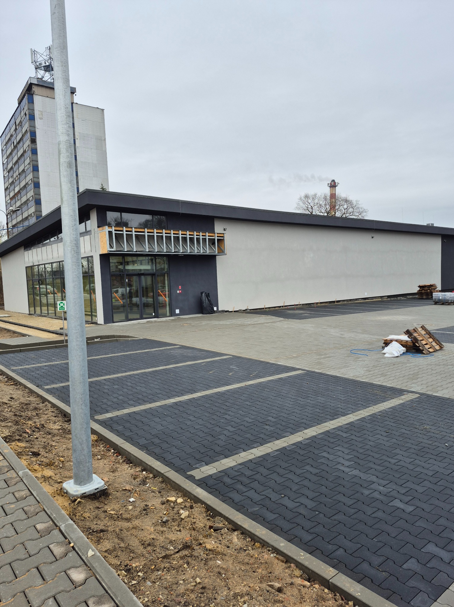 Stokrotka w Tarnowskich Górach