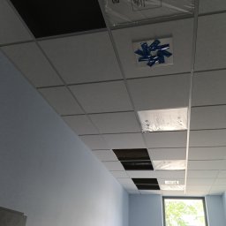 Budol Aleksander Łukaszewicz - Czyszczenie Nowe aleksandrowo