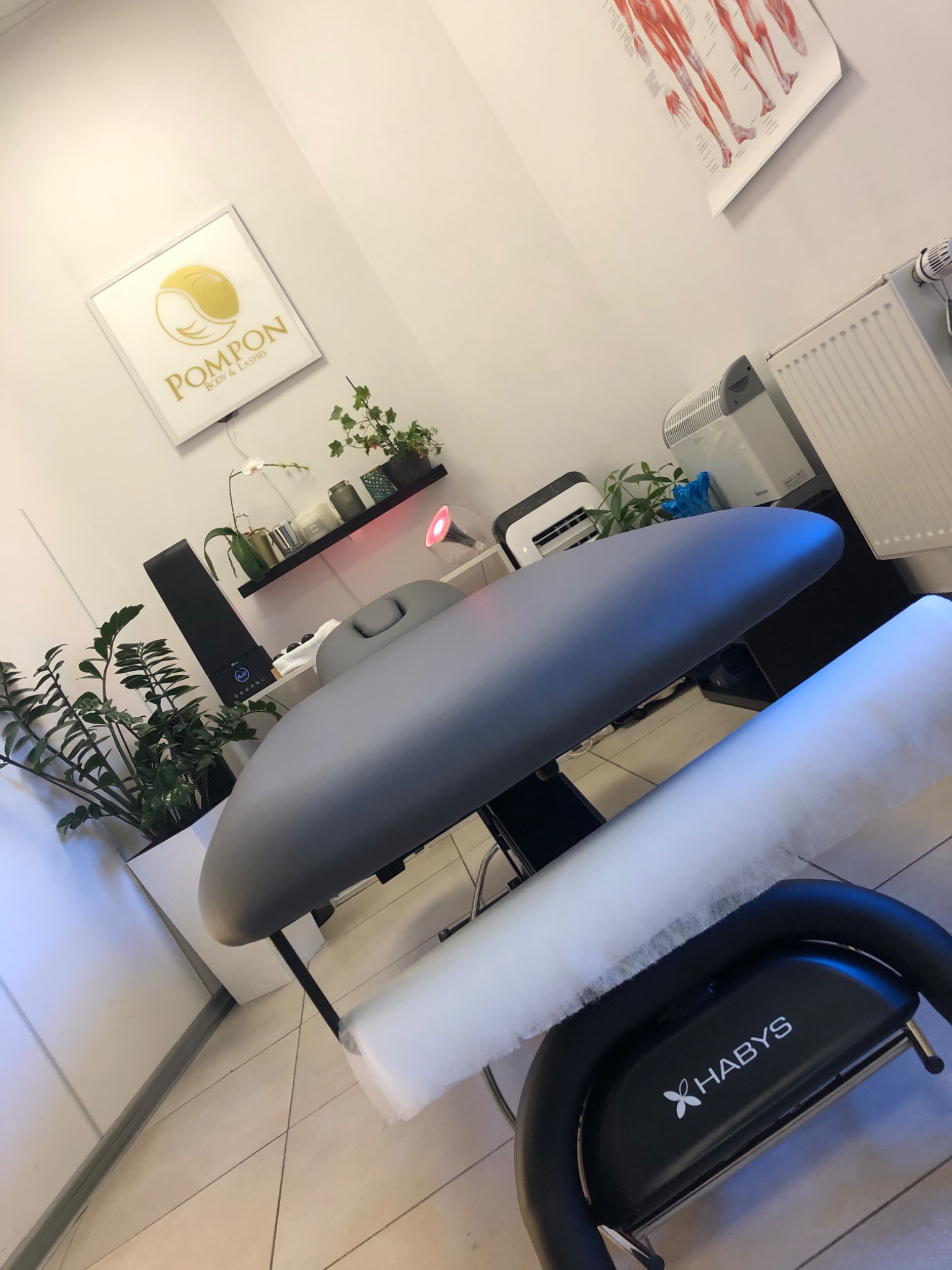 Szary stół do masażu z rolką jednorazowego podkładu, widoczny plakat z układem mięśni, rośliny doniczkowe i logo firmy Pompon Body & Lashes na ścianie w tle.