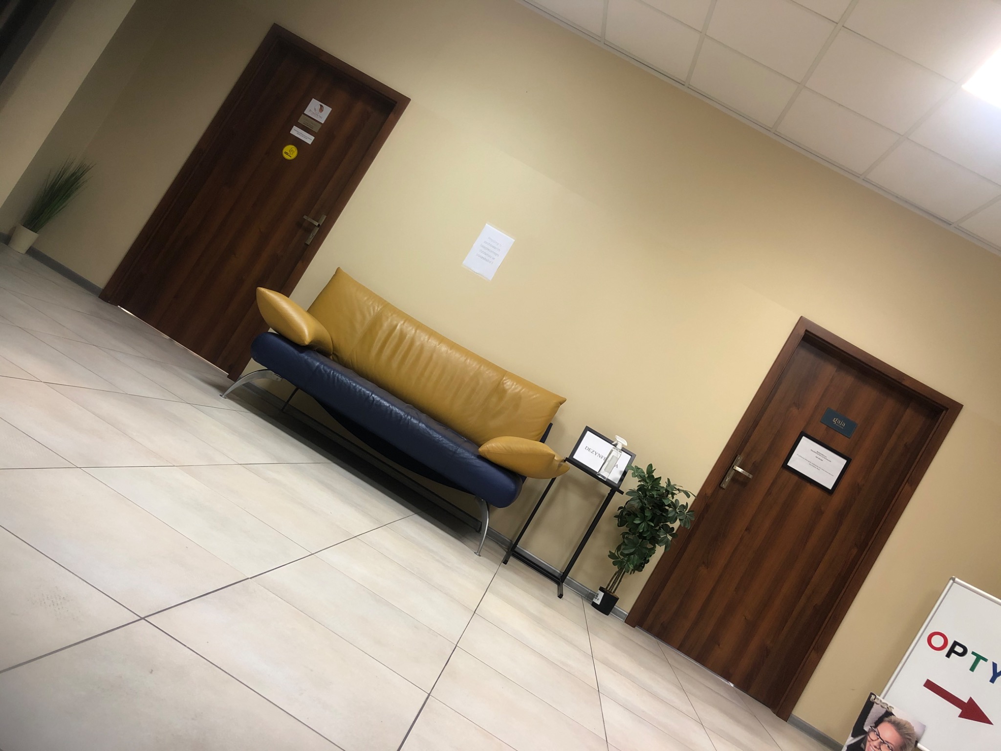 Poczekalnia z niebiesko-żółtą sofą, stolikiem z płynem do dezynfekcji i rośliną, pomiędzy dwoma drewnianymi drzwiami w gabinecie lekarskim.