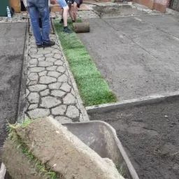 Układanie darni z rolki w ogrodzie: pracownicy rozwijają pasy trawy na przygotowanym podłożu, widoczny wózek z kolejnymi rolkami i ścieżka z betonowych płyt.