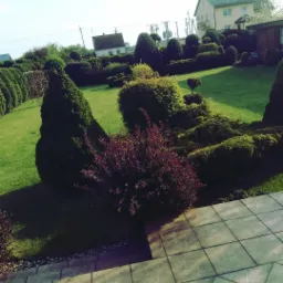 Uformowane krzewy i drzewa w zadbanym ogrodzie z widokiem na domy w tle, widziane z tarasu wyłożonego płytkami.