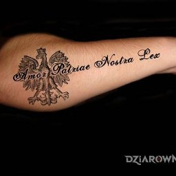 JackBud - Renowacja Elewacji Częstochowa