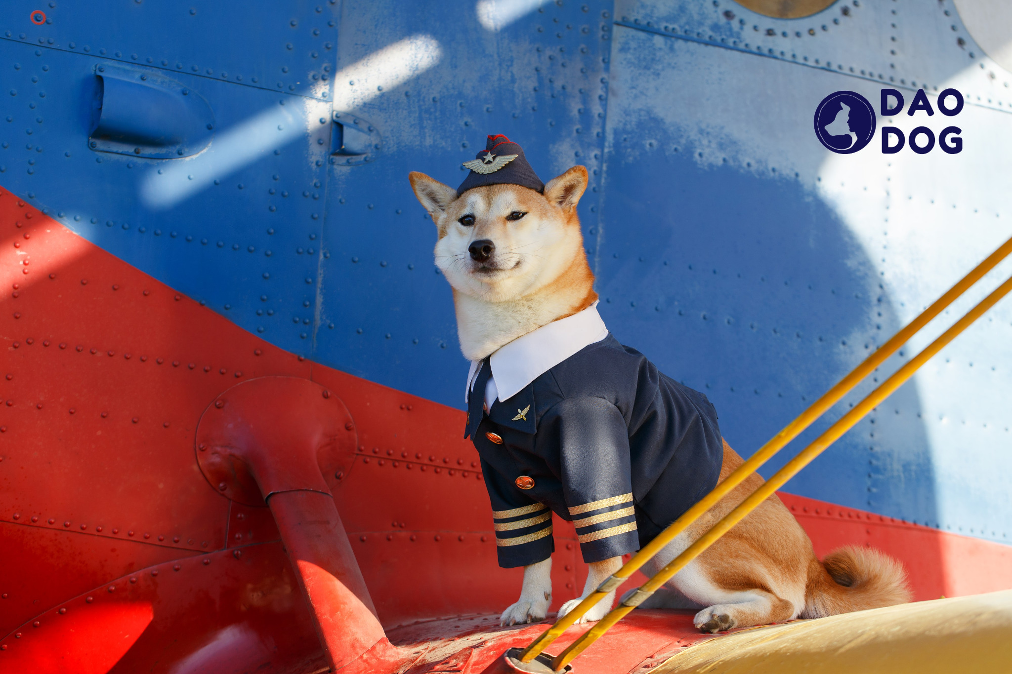 Shiba Inu ubrany w strój pilota, z czapką i mundurem, siedzi na czerwono-niebieskim samolocie z logo 'DAO DOG' w prawym górnym rogu.