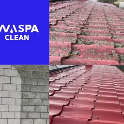 WASPA Clean - Patryk Wasilewski - Dobra Firma Dekarska Lidzbark Warmiński