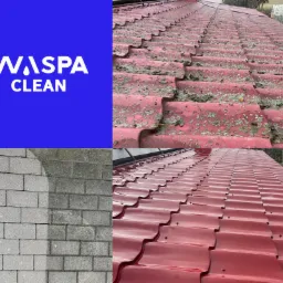 Kolaż prezentujący logo firmy Waspaclean, fragment dachu pokrytego mchem i porostami przed czyszczeniem, kostkę brukową w trakcie czyszczenia (widoczna różnica między czystą a zabrudzoną...