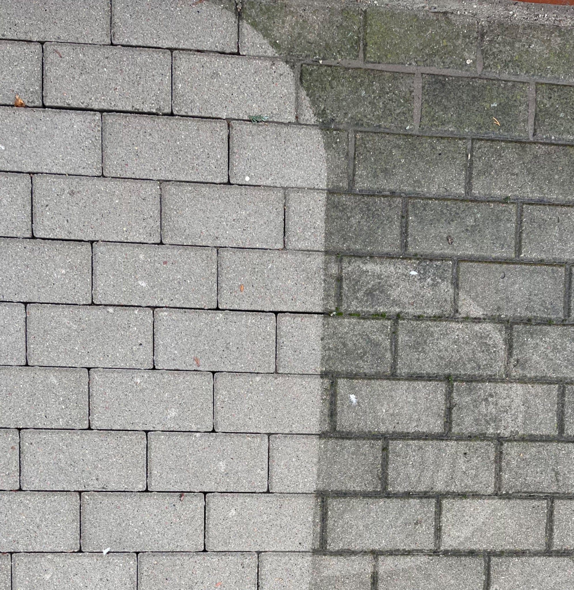 Częściowo wyczyszczona szara kostka brukowa, po lewej stronie czysta, po prawej pokryta mchem i zabrudzeniami, widoczna różnica w kolorze i fakturze.