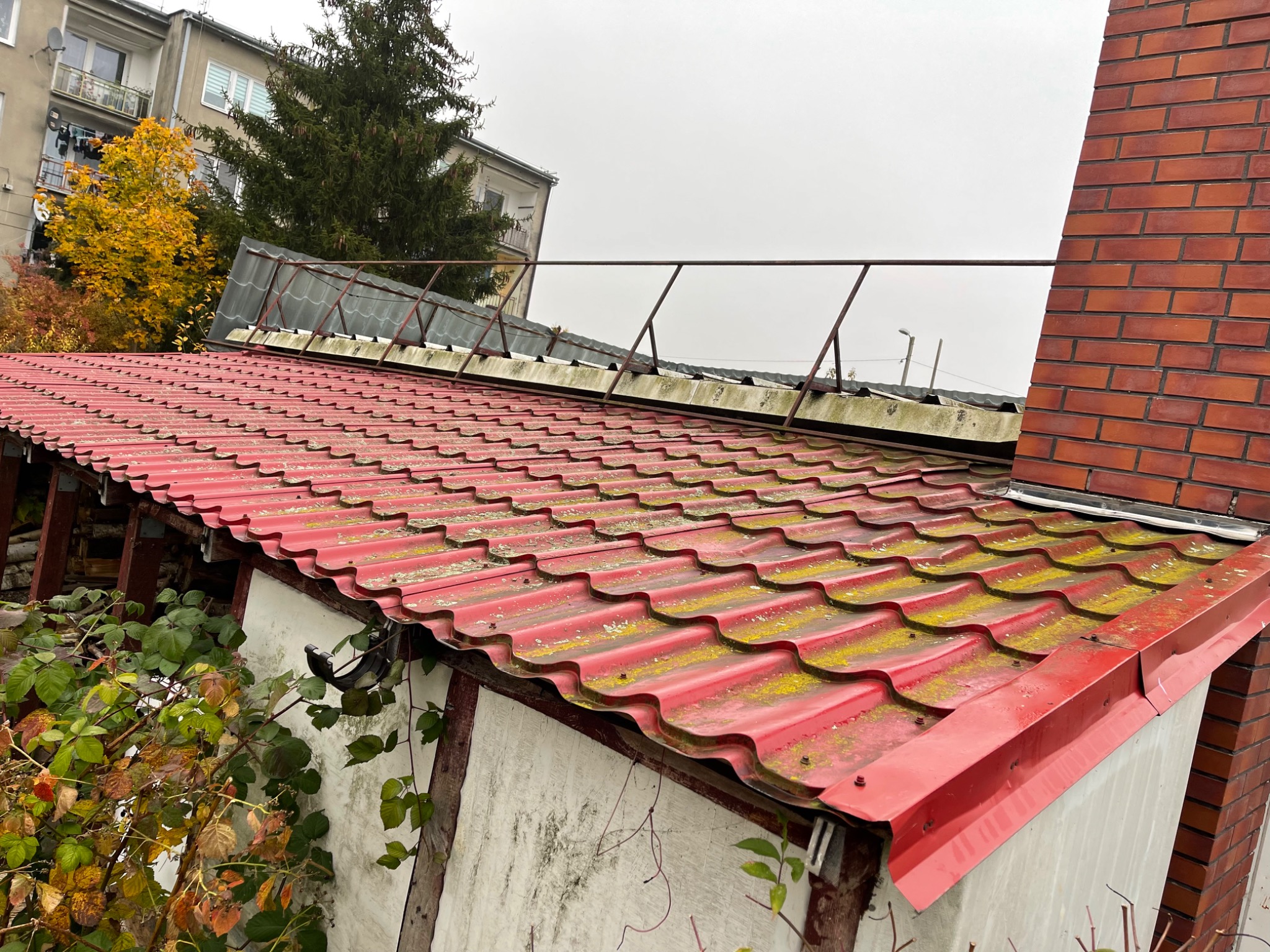 Czerwony dach pokryty mchem, z widocznym kominem z czerwonej cegły i fragmentem rynny, na tle szarego nieba i budynków.