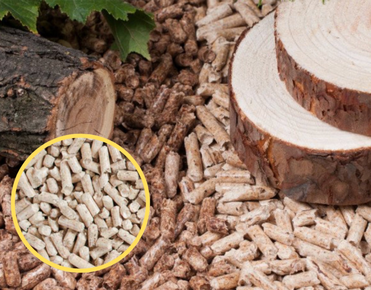 #pellet drzewny#pelelt sosnowy#pellet iglasty