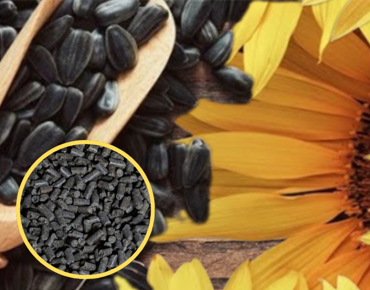 #pellet z łusek słonecznika#pellet na elektrownie