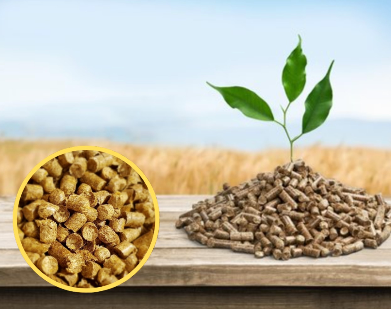 #pellet ze słomy# pellet agro