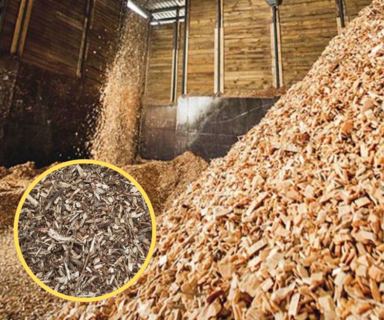 #zrębka leśna#zrębka tartaczna