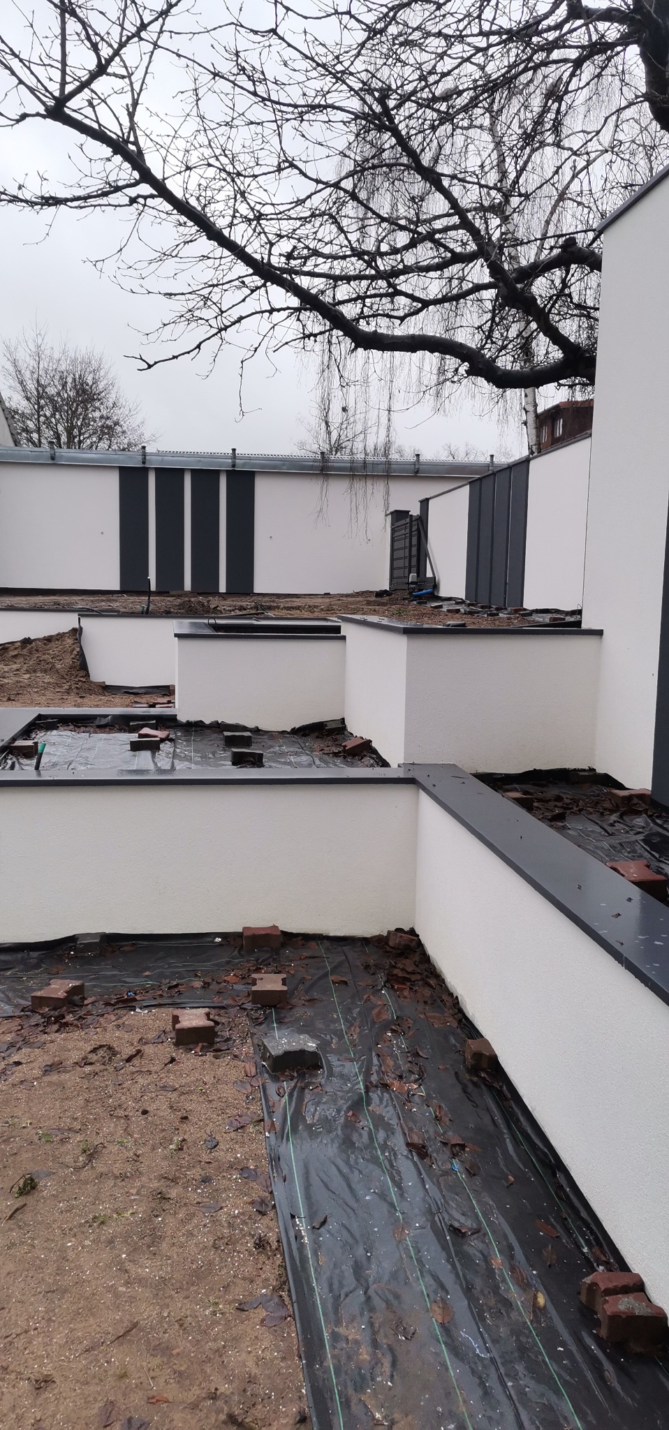 Przygotowanie terenu pod nasadzenia przy nowo wybudowanym domu z białymi ścianami i grafitowymi akcentami, widoczna czarna agrowłóknina i cegły na ziemi.