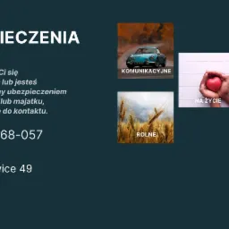 Kompozycja graficzna prezentująca różne rodzaje ubezpieczeń: komunikacyjne (samochód), rolne (pole pszenicy), na życie (serce w dłoniach), majątkowe (dom z kluczami) i osobowe (magazyn...