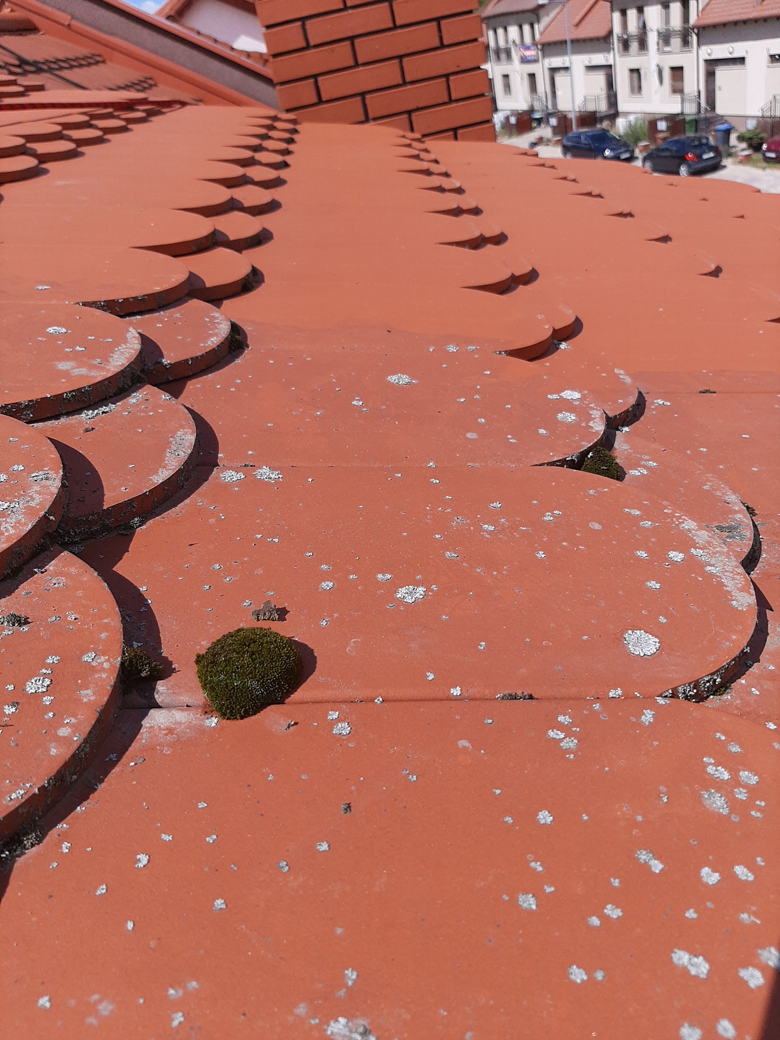 Czerwona dachówka ceramiczna z widocznymi plamami mchu i porostów, z fragmentem komina w tle oraz zabudową mieszkalną w oddali.