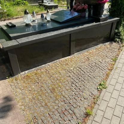 Ciemny nagrobek z kamienną kostką brukową porośniętą mchem i trawą, widok z boku, w tle zieleń cmentarza.